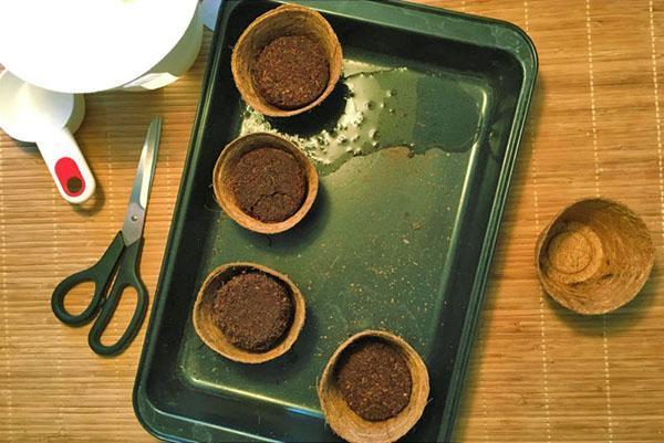 voorbereiding voor het planten van zaden