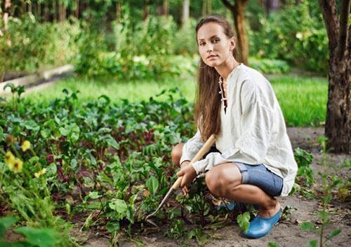 Verzorging van zomerse bieten