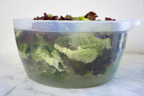 opslag van salade in een container