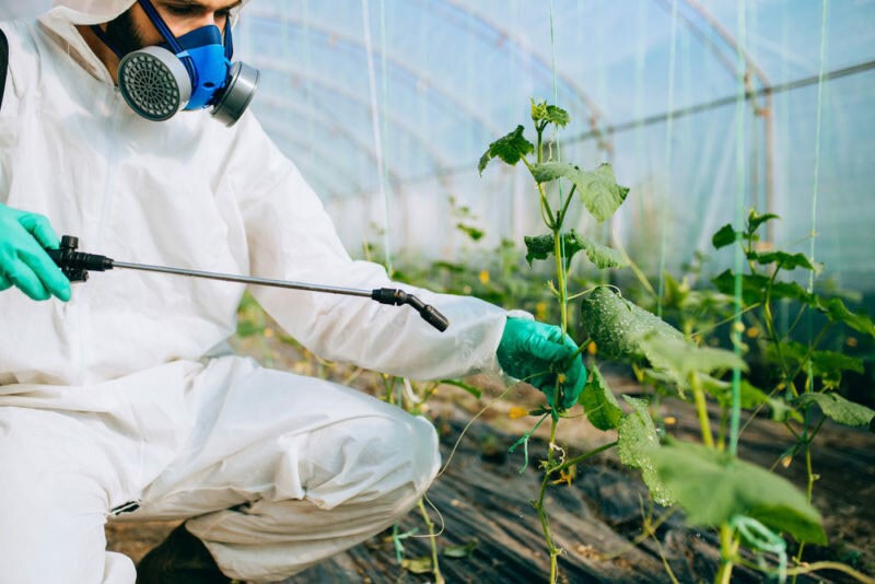 behandeling met pesticiden van planten