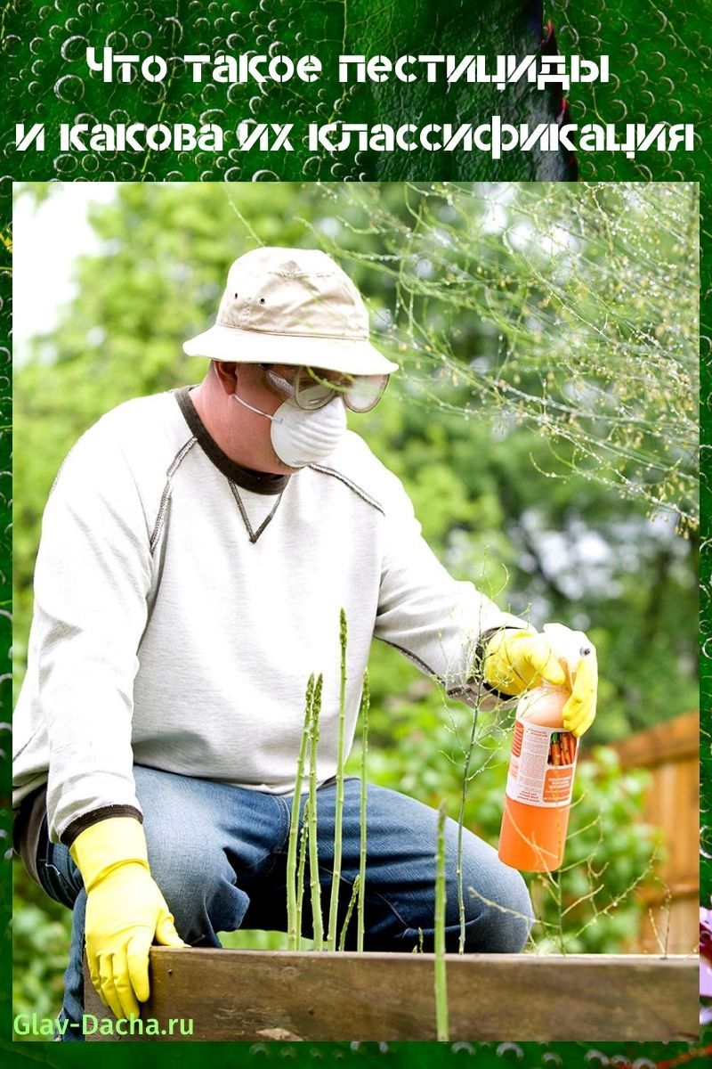 wat zijn pesticiden?