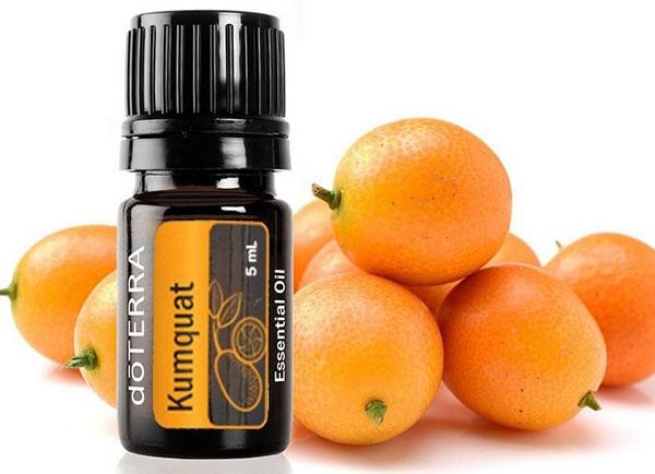 kumquat olie