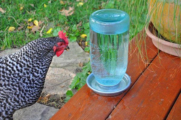 Zelfgemaakte drinkschaal uit blik