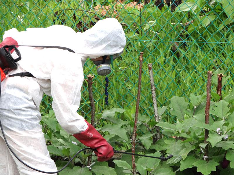 kenmerk van het gebruik van fungicide topsin m