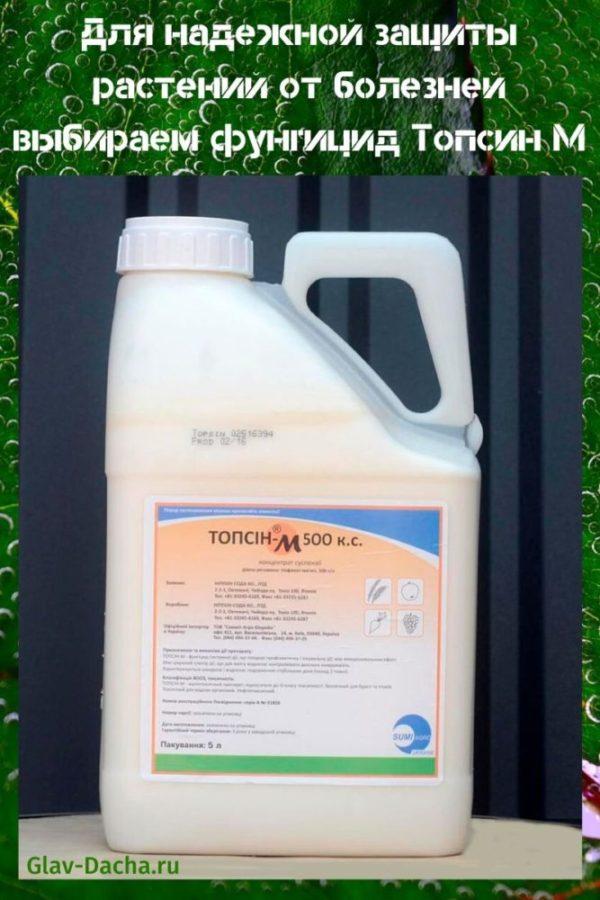 fungicide topsin m