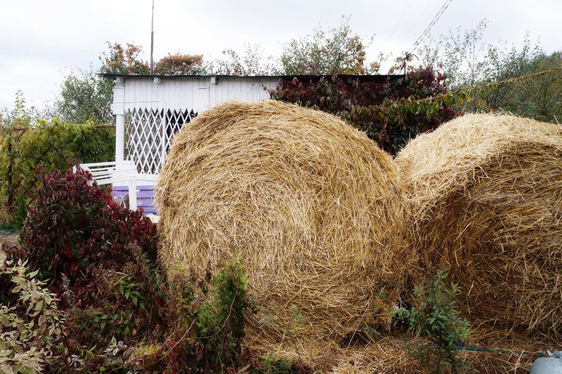 stro gebruiken in de tuin