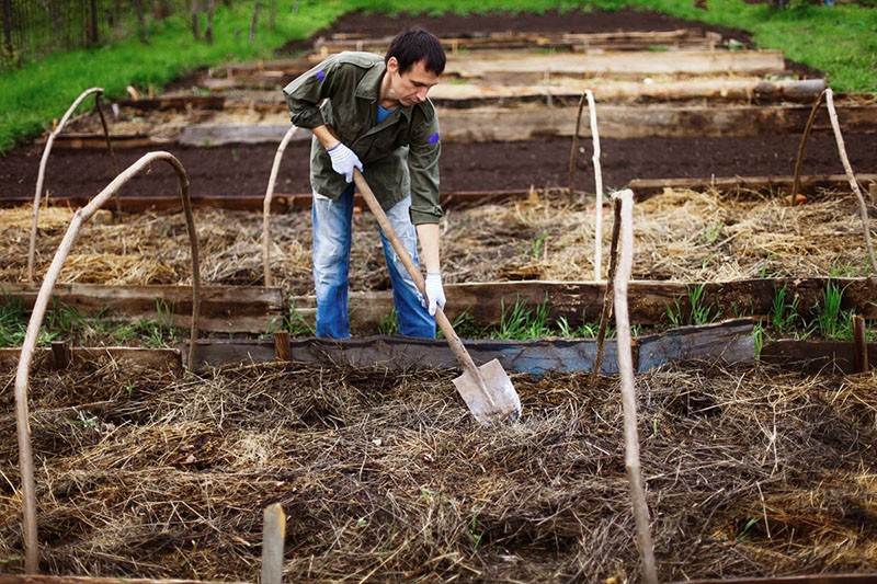 biologische landbouw