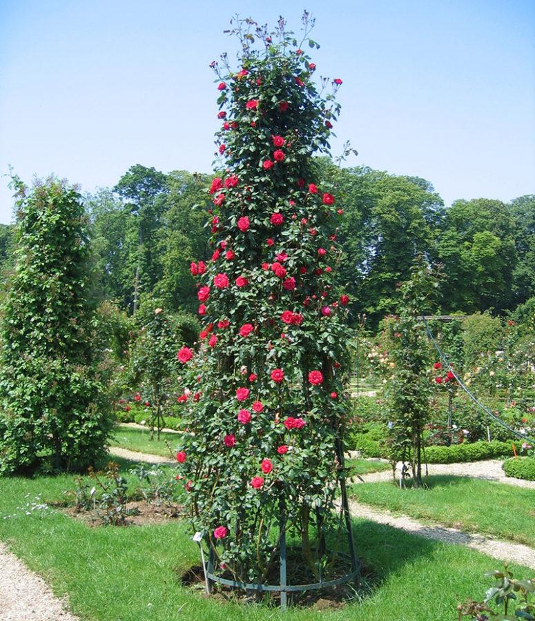 piramidale obelisk