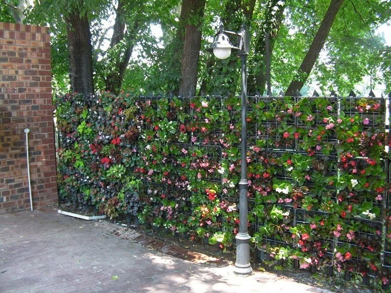 verticaal tuinieren met verschillende planten