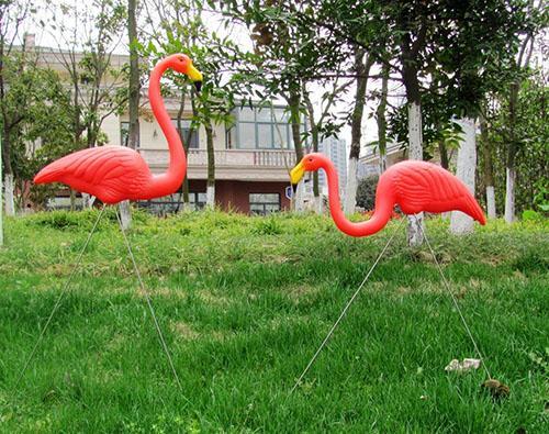 paar flamingo's