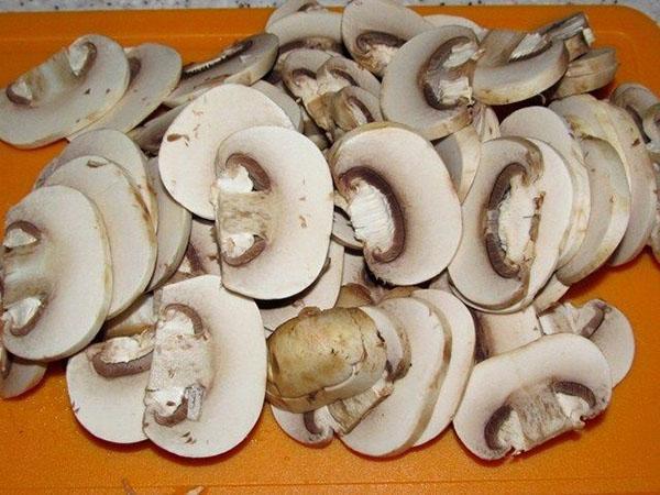 champignons borden