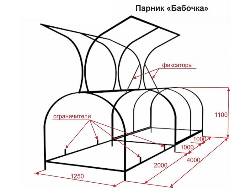 leptir za crtanje u stakleniku s dimenzijama