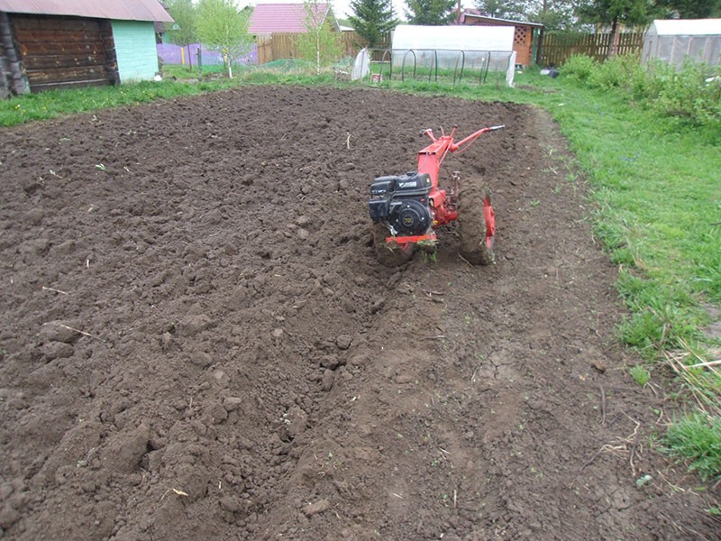 een moestuin omploegen