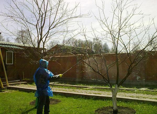 houtbewerking in het vroege voorjaar