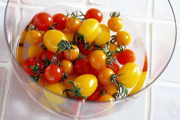 tomaten voor sap