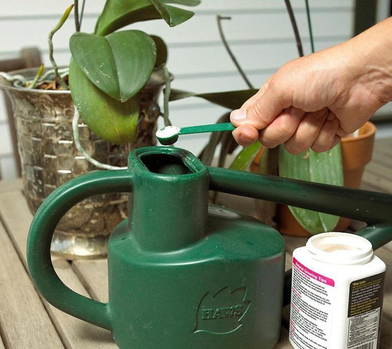 voorbereiding van een oplossing voor het bewateren van een orchidee