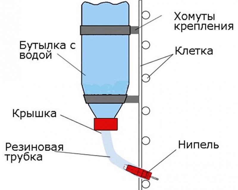 pojilica za bradavice