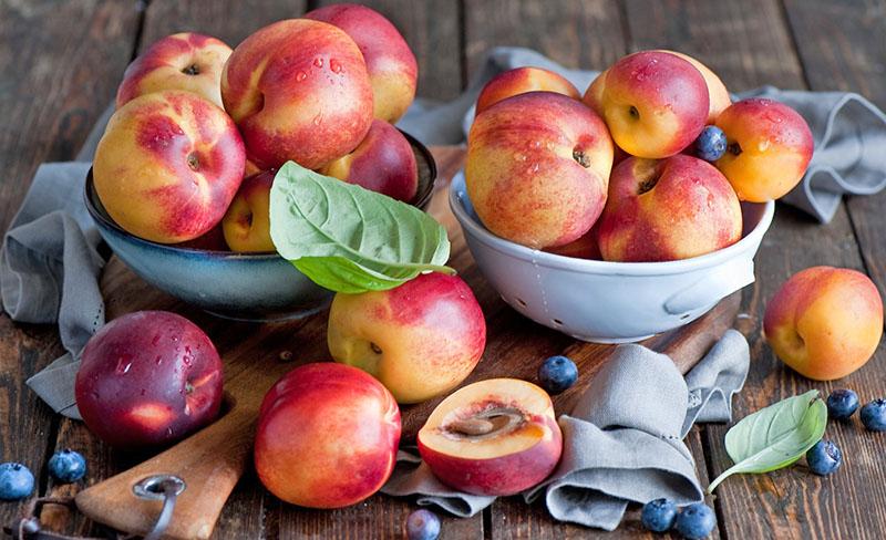 sappig zoet fruit van nectarine