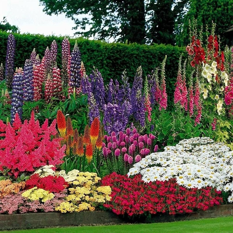 soorten vaste planten voor de tuin