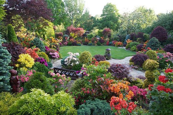 decoratieve struiken in landschapsontwerp