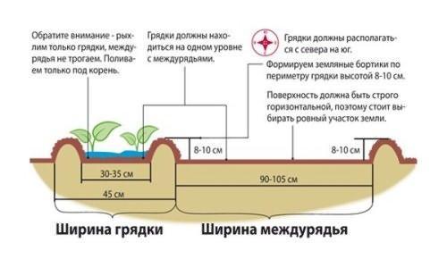 tuin bed diagram