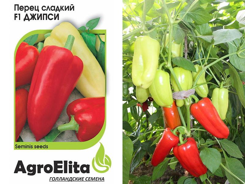 paprika sjeme cigansko