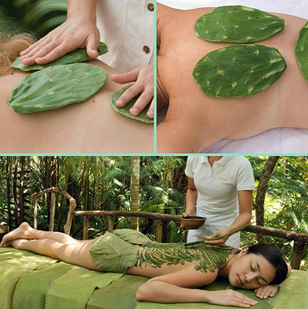 therapeutische massage met cactus