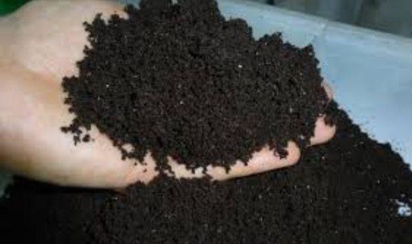 turf voor vermicompost