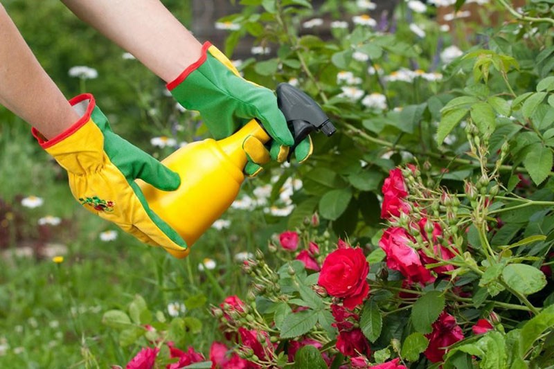 kaliummonofosfaat voor bloemen