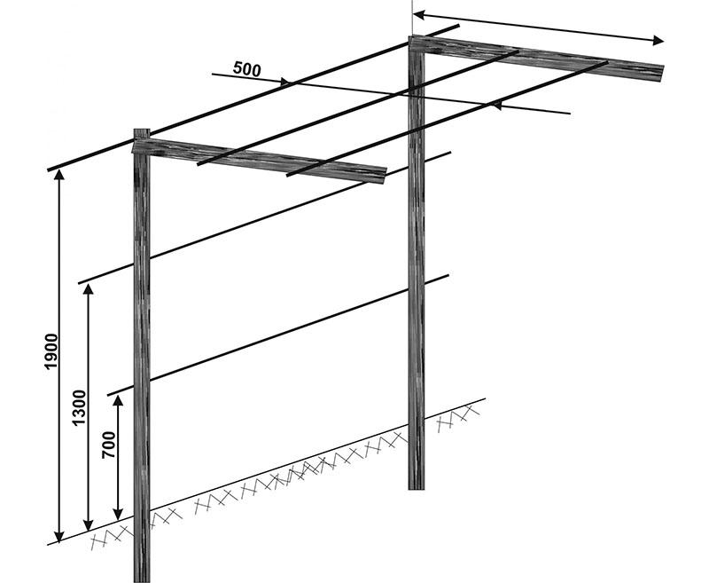 afmetingen van een trellis met twee vlakken