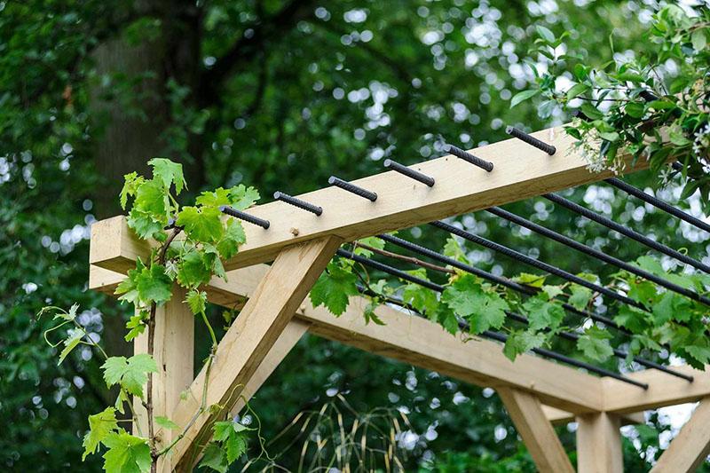 decoratief latwerk voor druiven