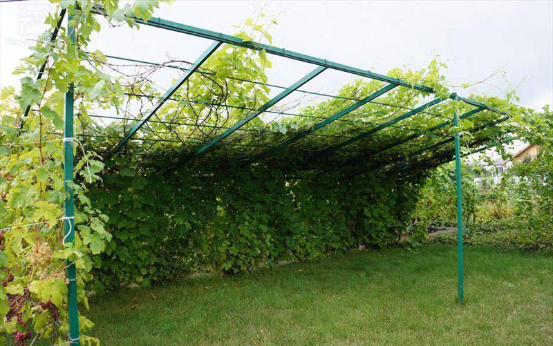 pergola