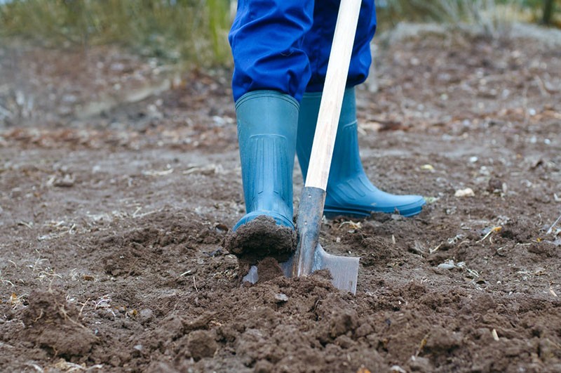 grondbewerking voor het poten van aardappelen