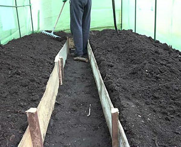 vruchtbare grond voor tomaten