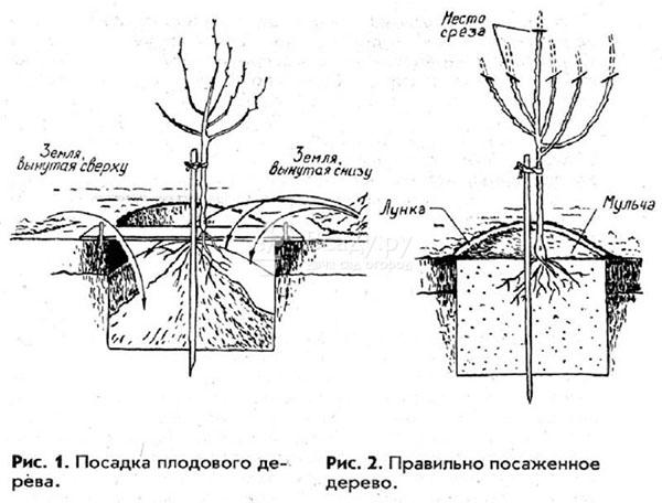 pravila slijetanja