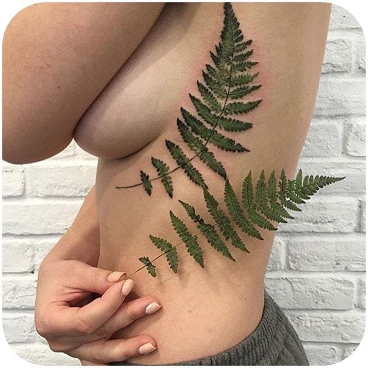 ferntattoo