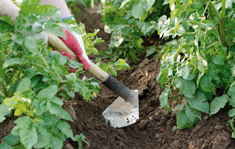 eenvoudig ophopen van planten