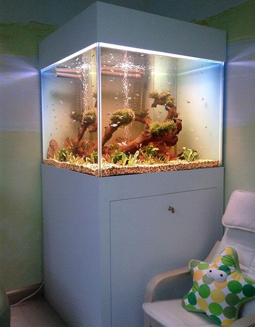 organisatie van aquariumverlichting