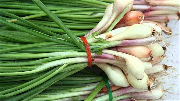 groene uien zijn niet goed voor iedereen